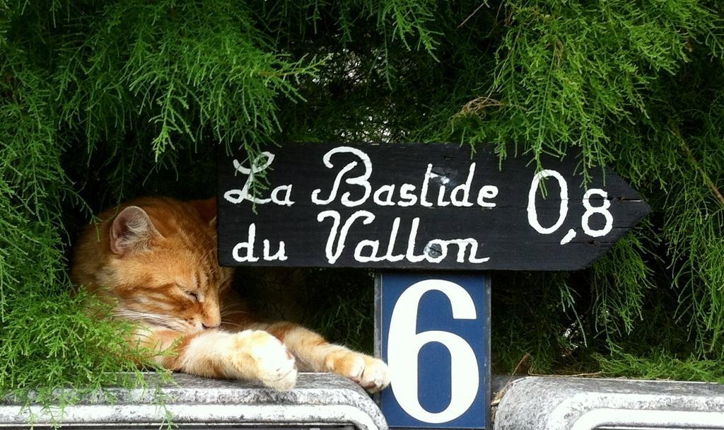Гостевой дом La Bastide Du Vallon Saumane-de-Vaucluse Экстерьер фото