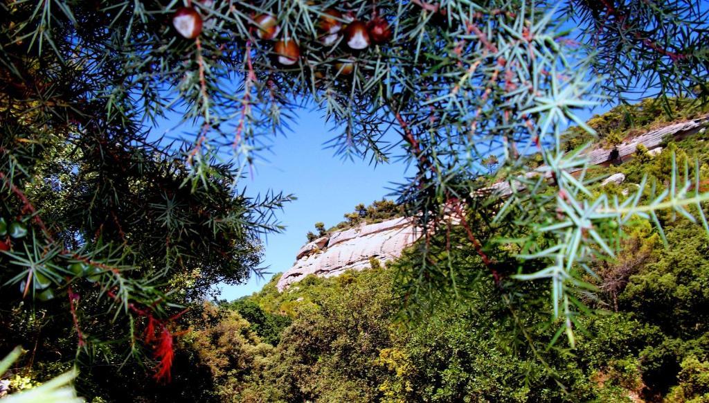 Гостевой дом La Bastide Du Vallon Saumane-de-Vaucluse Экстерьер фото